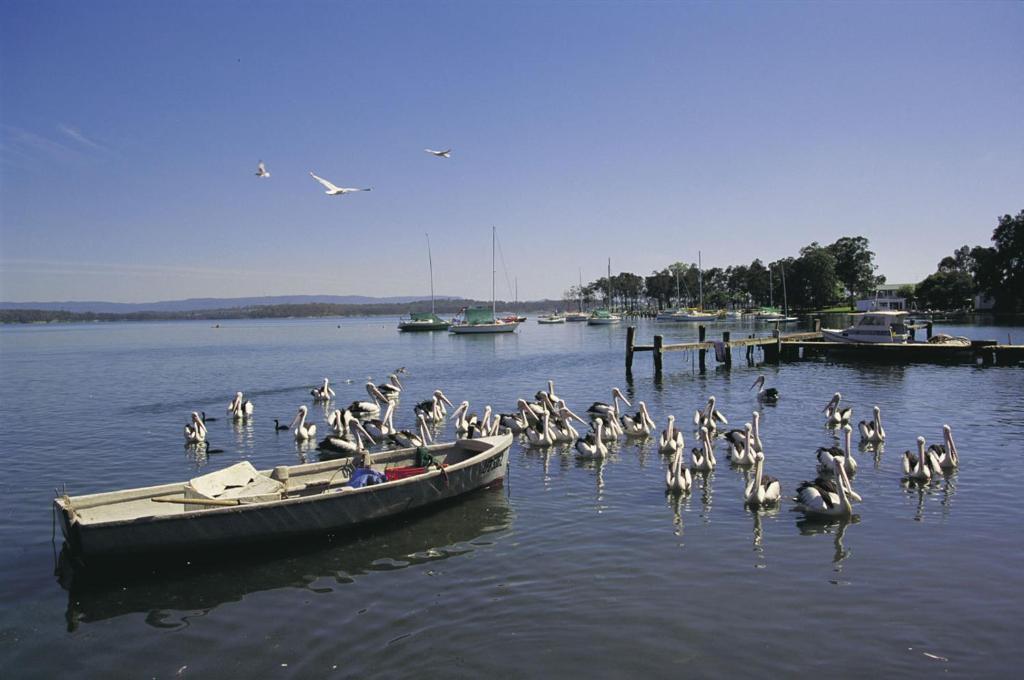 Black Swan Waterfront Motel (Adults Only) Swansea Esterno foto