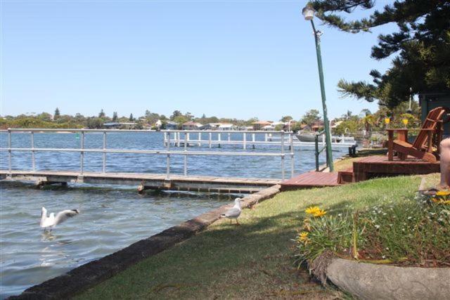 Black Swan Waterfront Motel (Adults Only) Swansea Esterno foto